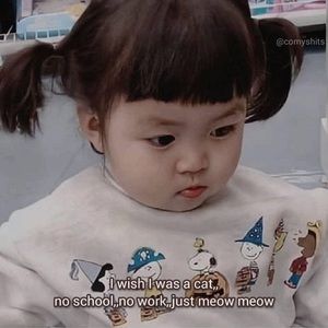 Meet your Posher, Starr